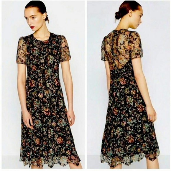 41. Zara Floral Lace Scalloped Hem Midi Dress Size So - Picture 4 of 16
